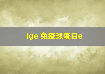 ige 免疫球蛋白e